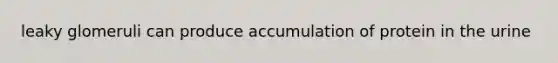 leaky glomeruli can produce accumulation of protein in the urine