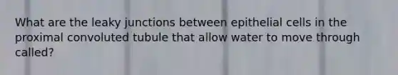 What are the leaky junctions between epithelial cells in the proximal convoluted tubule that allow water to move through called?