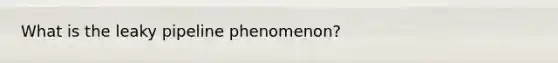 What is the leaky pipeline phenomenon?