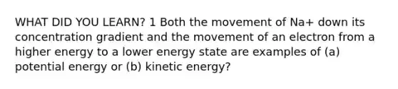 WHAT DID YOU LEARN? 1 Both the movement of Na+ down its concentration gradient and the movement of an electron from a higher energy to a lower energy state are examples of (a) potential energy or (b) kinetic energy?