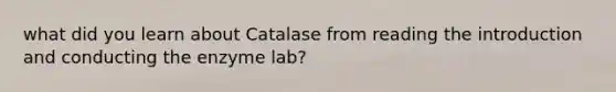 what did you learn about Catalase from reading the introduction and conducting the enzyme lab?