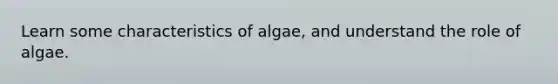 Learn some characteristics of algae, and understand the role of algae.