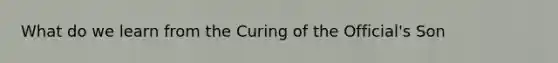 What do we learn from the Curing of the Official's Son