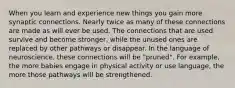 When you learn and experience new things you gain more synaptic connections. Nearly twice as many of these connections are made as will ever be used. The connections that are used survive and become stronger, while the unused ones are replaced by other pathways or disappear. In the language of neuroscience, these connections will be "pruned". For example, the more babies engage in physical activity or use language, the more those pathways will be strengthened.