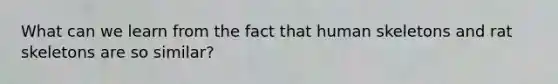 What can we learn from the fact that human skeletons and rat skeletons are so similar?