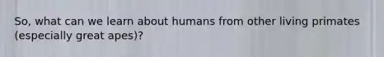 So, what can we learn about humans from other living primates (especially great apes)?