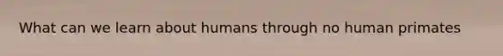 What can we learn about humans through no human primates