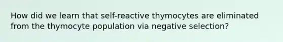 How did we learn that self-reactive thymocytes are eliminated from the thymocyte population via negative selection?