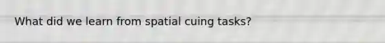 What did we learn from spatial cuing tasks?