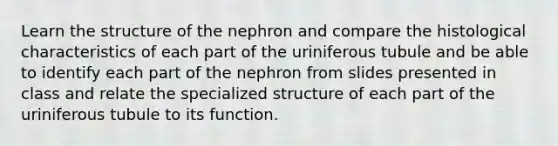 Learn the structure of the nephron and compare the histological characteristics of each part of the uriniferous tubule and be able to identify each part of the nephron from slides presented in class and relate the specialized structure of each part of the uriniferous tubule to its function.