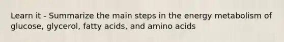 Learn it - Summarize the main steps in the energy metabolism of glucose, glycerol, fatty acids, and amino acids