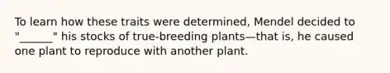 To learn how these traits were determined, Mendel decided to "______" his stocks of true-breeding plants—that is, he caused one plant to reproduce with another plant.