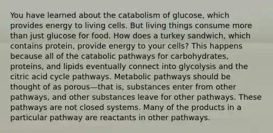 You have learned about the catabolism of glucose, which provides energy to living cells. But living things consume more than just glucose for food. How does a turkey sandwich, which contains protein, provide energy to your cells? This happens because all of the catabolic pathways for carbohydrates, proteins, and lipids eventually connect into glycolysis and the citric acid cycle pathways. Metabolic pathways should be thought of as porous—that is, substances enter from other pathways, and other substances leave for other pathways. These pathways are not closed systems. Many of the products in a particular pathway are reactants in other pathways.