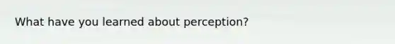 What have you learned about perception?