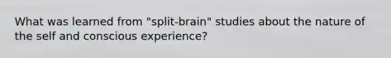 What was learned from "split-brain" studies about the nature of the self and conscious experience?