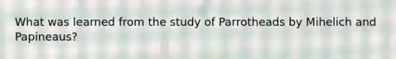 What was learned from the study of Parrotheads by Mihelich and Papineaus?