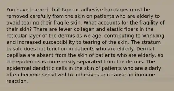 You have learned that tape or adhesive bandages must be removed carefully from the skin on patients who are elderly to avoid tearing their fragile skin. What accounts for the fragility of their skin? There are fewer collagen and elastic fibers in the reticular layer of the dermis as we age, contributing to wrinkling and increased susceptibility to tearing of the skin. The stratum basale does not function in patients who are elderly. Dermal papillae are absent from the skin of patients who are elderly, so the epidermis is more easily separated from the dermis. The epidermal dendritic cells in the skin of patients who are elderly often become sensitized to adhesives and cause an immune reaction.