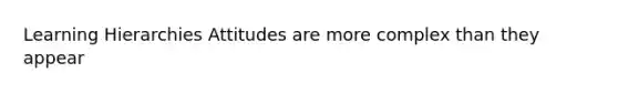 Learning Hierarchies Attitudes are more complex than they appear