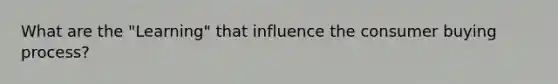 What are the "Learning" that influence the consumer buying process?