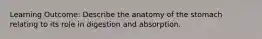 Learning Outcome: Describe the anatomy of the stomach relating to its role in digestion and absorption.