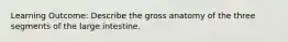 Learning Outcome: Describe the gross anatomy of the three segments of the large intestine.