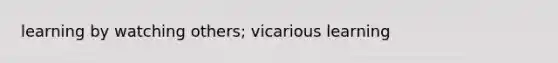 learning by watching others; vicarious learning