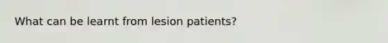 What can be learnt from lesion patients?