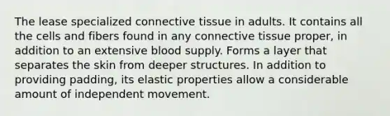 The lease specialized connective tissue in adults. It contains all the cells and fibers found in any connective tissue proper, in addition to an extensive blood supply. Forms a layer that separates the skin from deeper structures. In addition to providing padding, its elastic properties allow a considerable amount of independent movement.