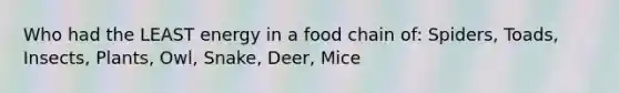 Who had the LEAST energy in a food chain of: Spiders, Toads, Insects, Plants, Owl, Snake, Deer, Mice