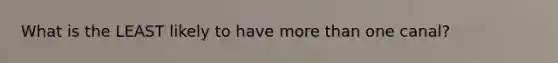 What is the LEAST likely to have more than one canal?