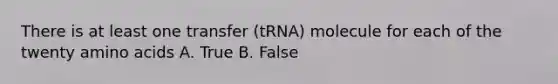 There is at least one transfer (tRNA) molecule for each of the twenty <a href='https://www.questionai.com/knowledge/k9gb720LCl-amino-acids' class='anchor-knowledge'>amino acids</a> A. True B. False