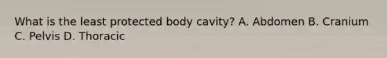 What is the least protected body​ cavity? A. Abdomen B. Cranium C. Pelvis D. Thoracic