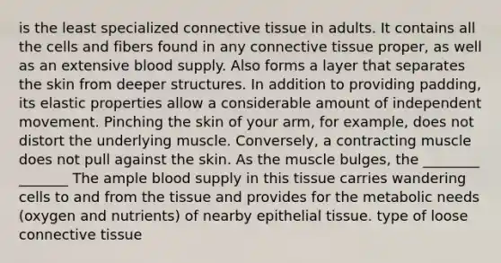 is the least specialized connective tissue in adults. It contains all the cells and fibers found in any connective tissue proper, as well as an extensive blood supply. Also forms a layer that separates the skin from deeper structures. In addition to providing padding, its elastic properties allow a considerable amount of independent movement. Pinching the skin of your arm, for example, does not distort the underlying muscle. Conversely, a contracting muscle does not pull against the skin. As the muscle bulges, the ________ _______ The ample blood supply in this tissue carries wandering cells to and from the tissue and provides for the metabolic needs (oxygen and nutrients) of nearby epithelial tissue. type of loose connective tissue