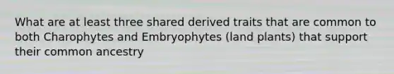 What are at least three shared derived traits that are common to both Charophytes and Embryophytes (land plants) that support their common ancestry