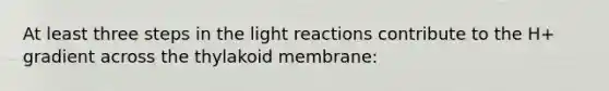 At least three steps in the <a href='https://www.questionai.com/knowledge/kSUoWrrvoC-light-reactions' class='anchor-knowledge'>light reactions</a> contribute to the H+ gradient across the thylakoid membrane: