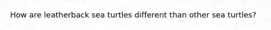 How are leatherback sea turtles different than other sea turtles?