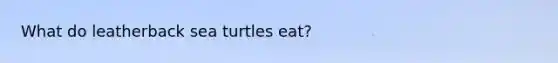 What do leatherback sea turtles eat?