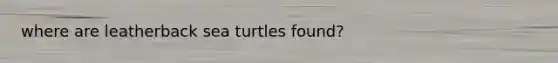 where are leatherback sea turtles found?