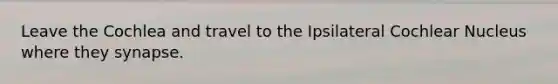 Leave the Cochlea and travel to the Ipsilateral Cochlear Nucleus where they synapse.
