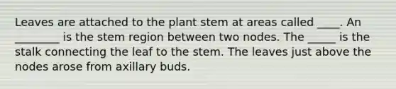 Leaves are attached to the plant stem at areas called ____. An ________ is the stem region between two nodes. The _____ is the stalk connecting the leaf to the stem. The leaves just above the nodes arose from axillary buds.