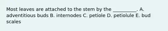 Most leaves are attached to the stem by the __________. A. adventitious buds B. internodes C. petiole D. petiolule E. bud scales