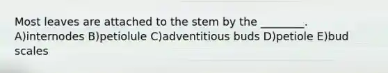 Most leaves are attached to the stem by the ________. A)internodes B)petiolule C)adventitious buds D)petiole E)bud scales