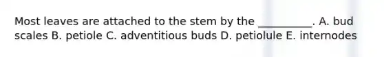 Most leaves are attached to the stem by the __________. A. bud scales B. petiole C. adventitious buds D. petiolule E. internodes