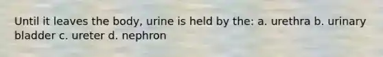 Until it leaves the body, urine is held by the: a. urethra b. <a href='https://www.questionai.com/knowledge/kb9SdfFdD9-urinary-bladder' class='anchor-knowledge'>urinary bladder</a> c. ureter d. nephron