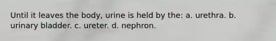 Until it leaves the body, urine is held by the: a. urethra. b. urinary bladder. c. ureter. d. nephron.