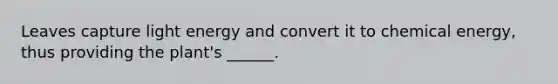 Leaves capture light energy and convert it to chemical energy, thus providing the plant's ______.