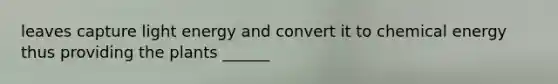 leaves capture light energy and convert it to chemical energy thus providing the plants ______
