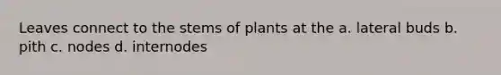 Leaves connect to the stems of plants at the a. lateral buds b. pith c. nodes d. internodes