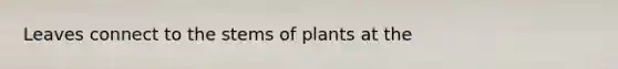 Leaves connect to the stems of plants at the