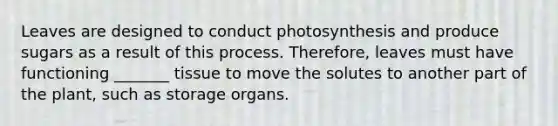 Leaves are designed to conduct photosynthesis and produce sugars as a result of this process. Therefore, leaves must have functioning _______ tissue to move the solutes to another part of the plant, such as storage organs.